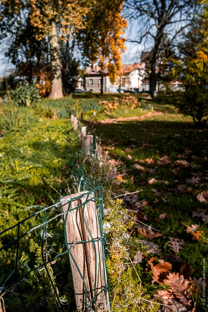 Une échappée automnale à Vitry-sur-Seine - photos Jean-Christophe DICHANT