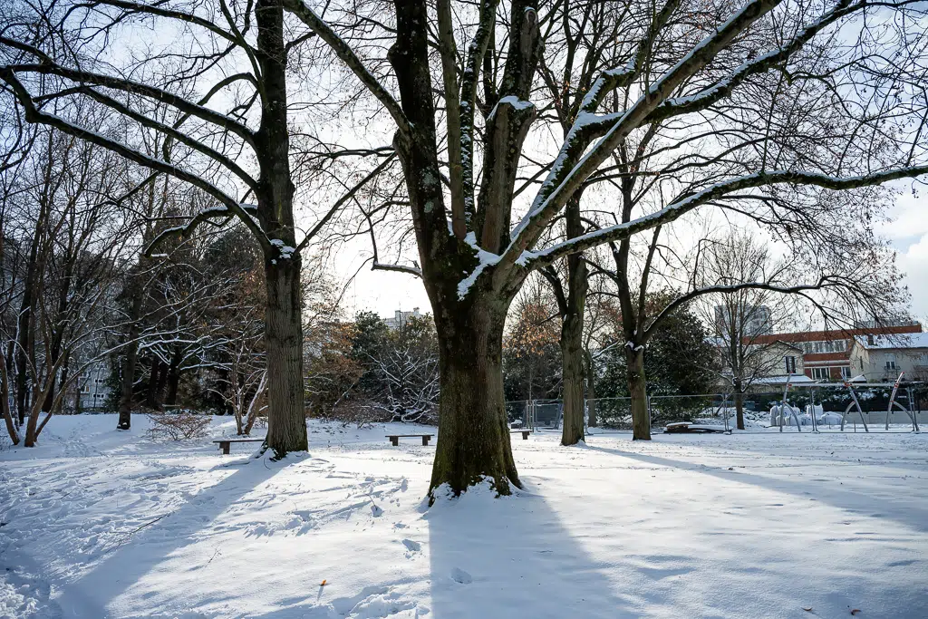 La neige tombe sur Vitry-sur-Seine - janvier 2026