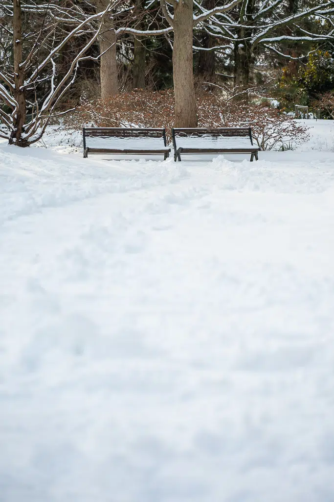 La neige tombe sur Vitry-sur-Seine - janvier 2026