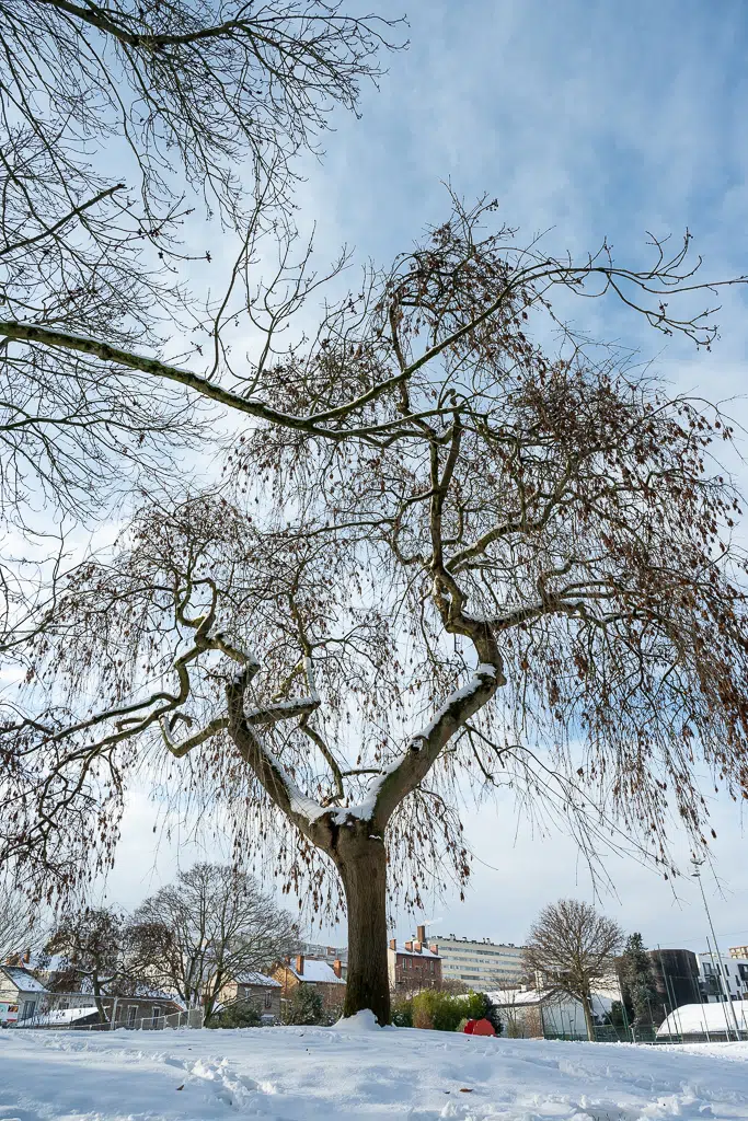 La neige tombe sur Vitry-sur-Seine - janvier 2026