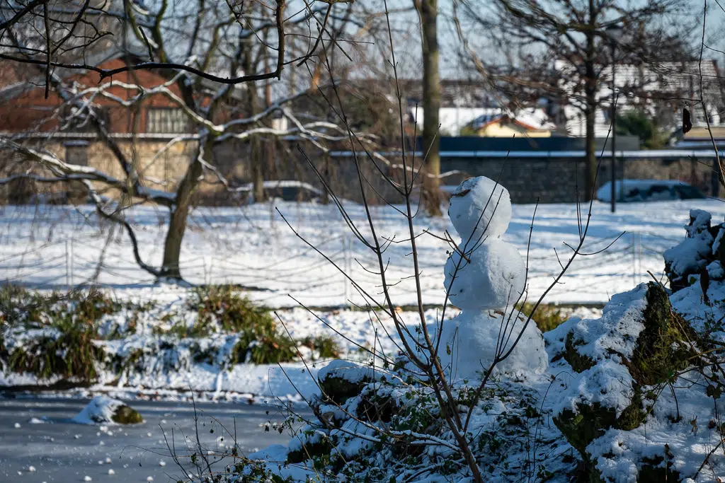 La neige tombe sur Vitry-sur-Seine - janvier 2026