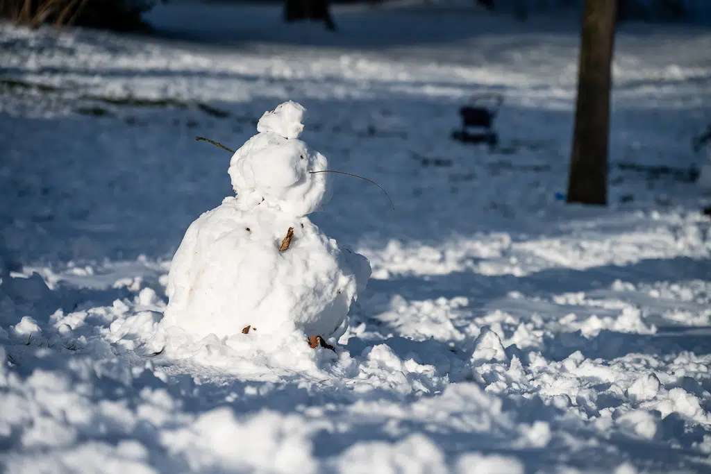 La neige tombe sur Vitry-sur-Seine - janvier 2026