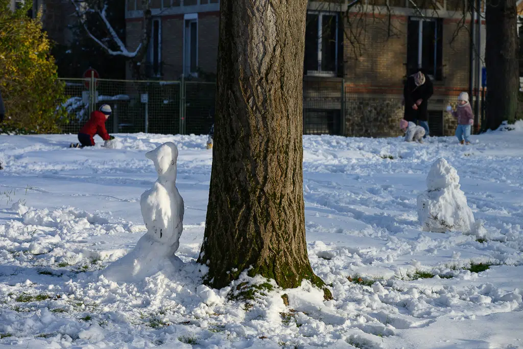 La neige tombe sur Vitry-sur-Seine - janvier 2026