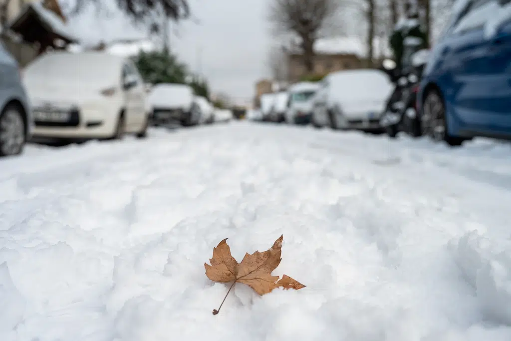 La neige tombe sur Vitry-sur-Seine - janvier 2026