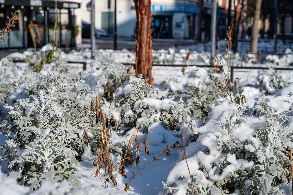 La neige tombe sur Vitry-sur-Seine - janvier 2026