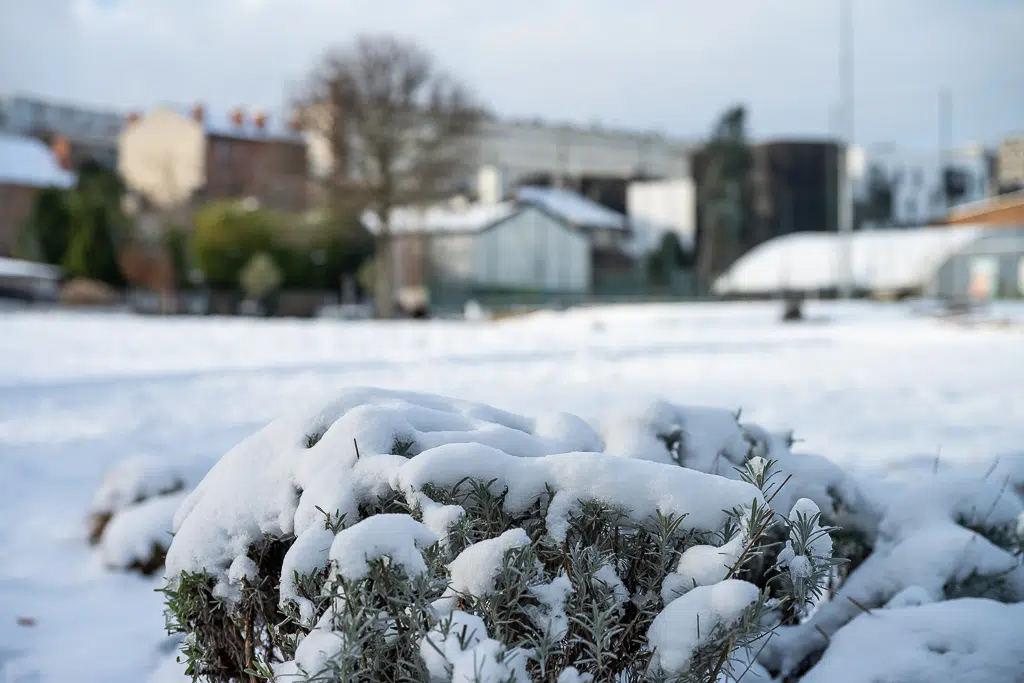 La neige tombe sur Vitry-sur-Seine - janvier 2026