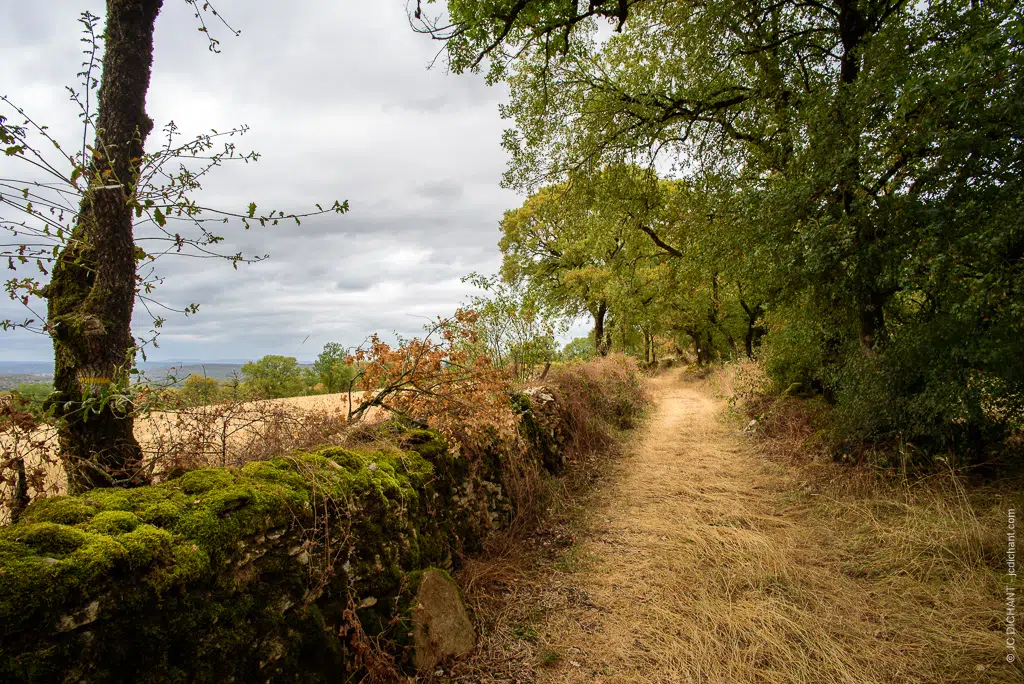 Un chemin de randonnée autour d'Alvignac dans le Lot