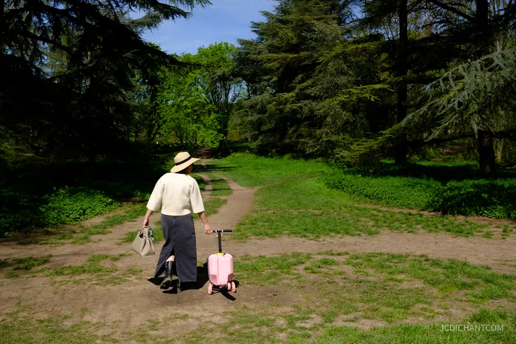 Hanami 2026 au parc de Sceaux : floraison, photos et balade - photo © JC Dichant