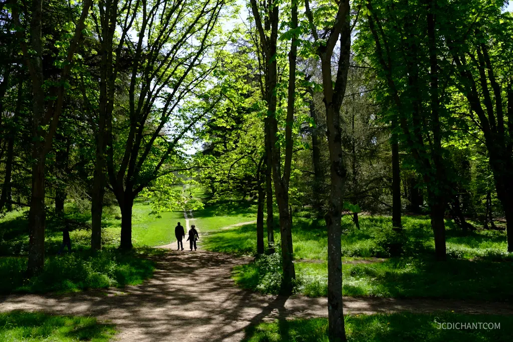 Hanami 2026 au parc de Sceaux : floraison, photos et balade - photo © JC Dichant