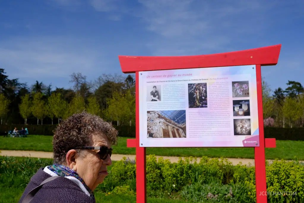 Hanami 2026 au parc de Sceaux : floraison, photos et balade - photo © JC Dichant