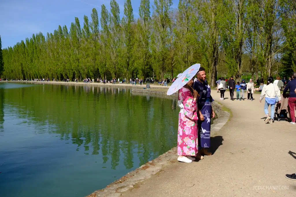 Hanami 2026 au parc de Sceaux : floraison, photos et balade - photo © JC Dichant