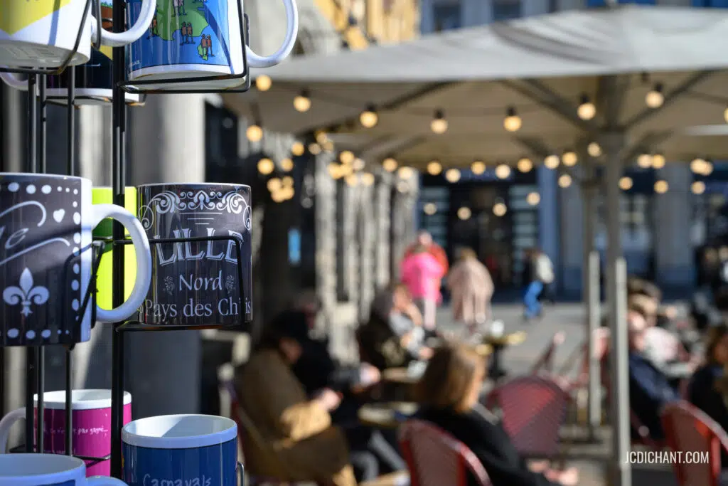 Lille sous le soleil de février