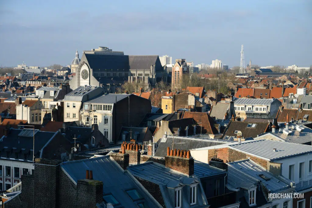 Lille sous le soleil de février