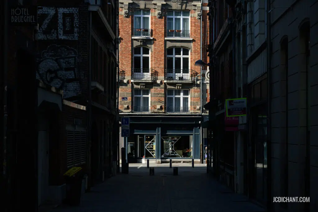 Lille sous le soleil de février