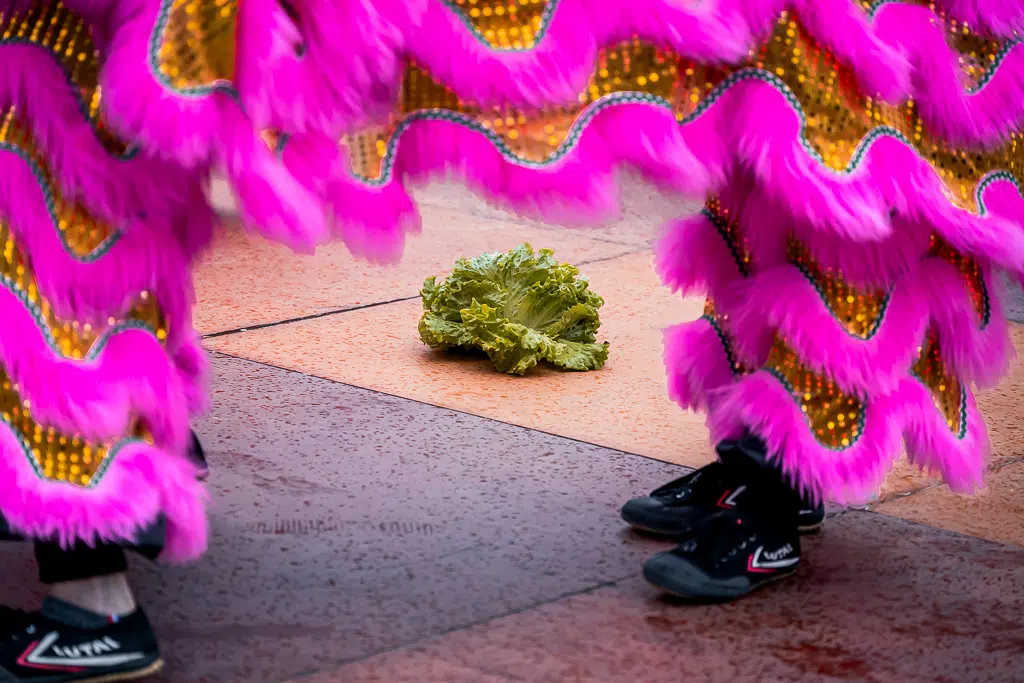 Nouvel an chinois, danse et taï-chi à Noisy-le-Grand