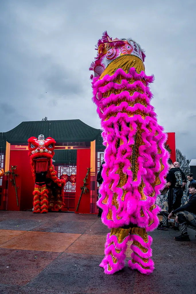Nouvel an chinois, danse et taï-chi à Noisy-le-Grand