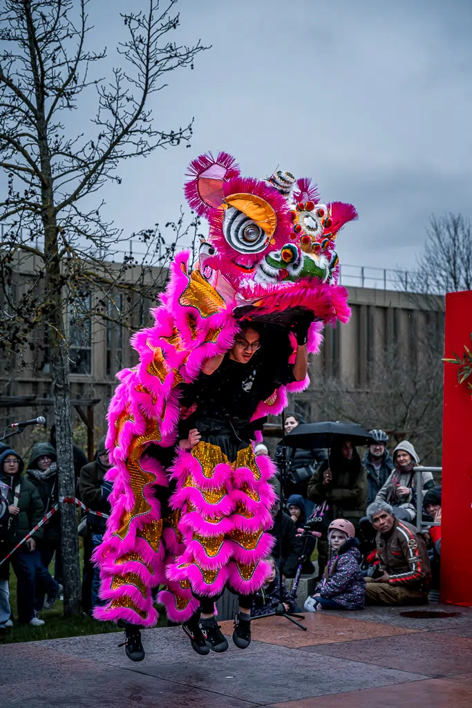 Nouvel an chinois, danse et taï-chi à Noisy-le-Grand
