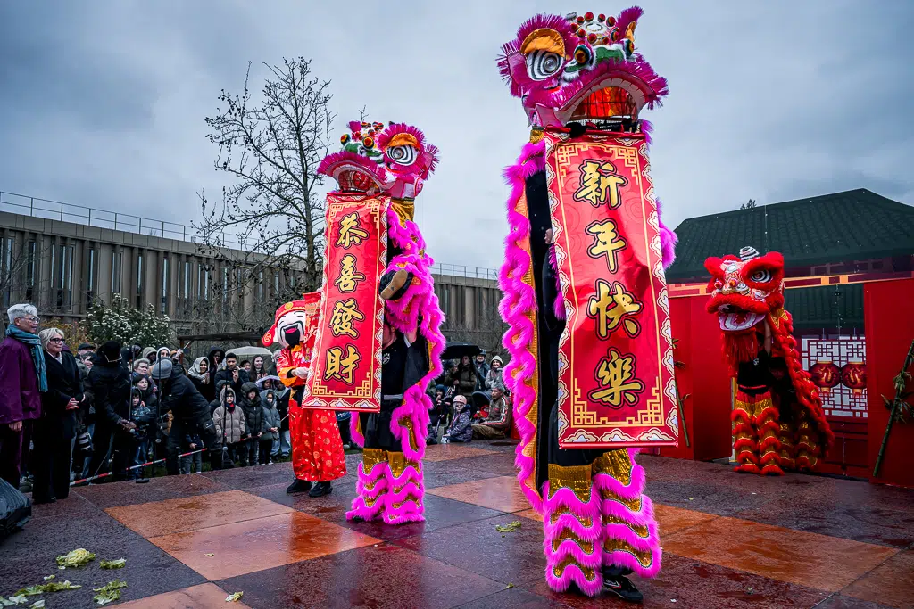 Nouvel an chinois, danse et taï-chi à Noisy-le-Grand