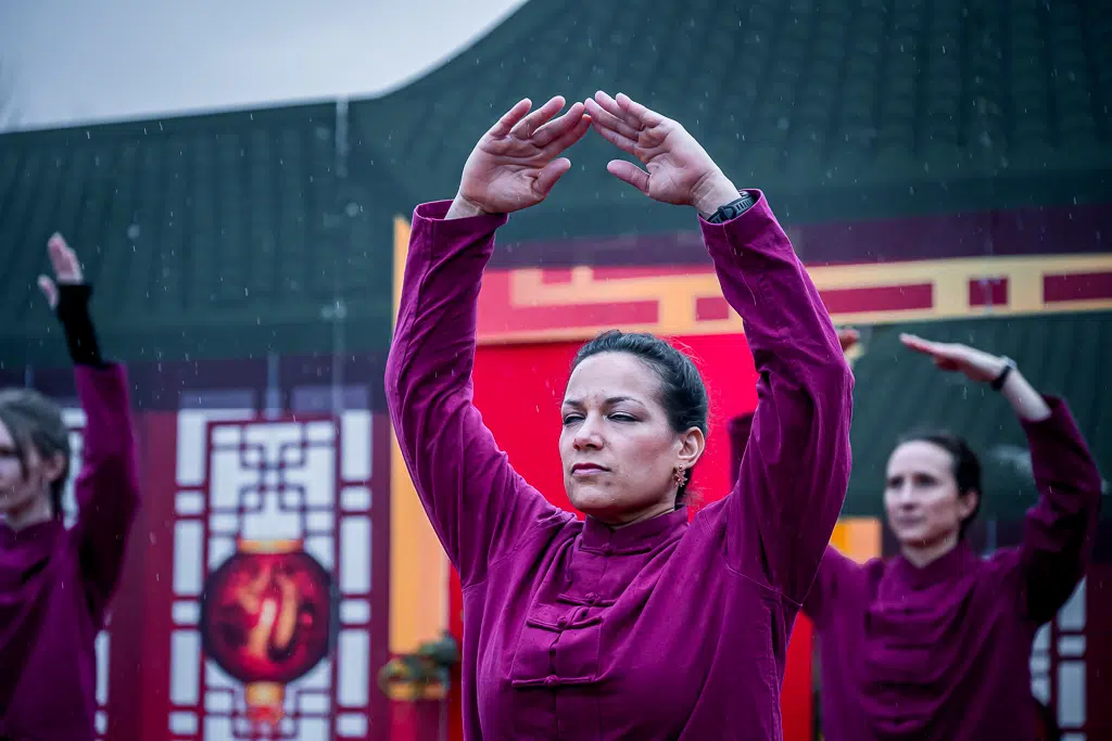 Nouvel an chinois, danse et taï-chi à Noisy-le-Grand