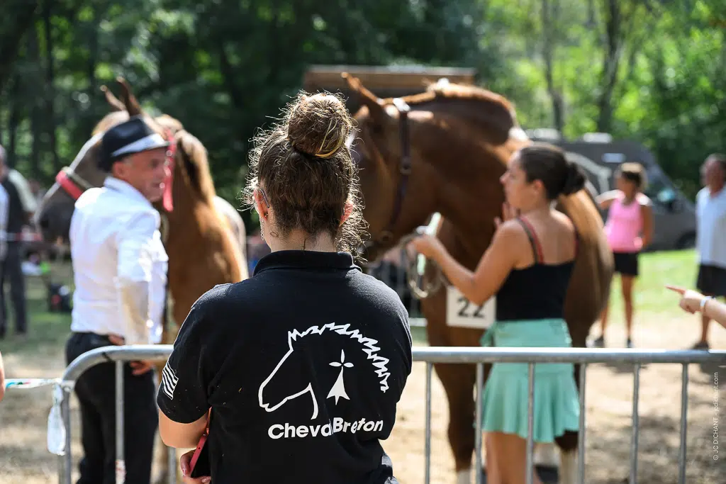 Concours de chevaux de trait à Alvignac (Lot) : août 2026