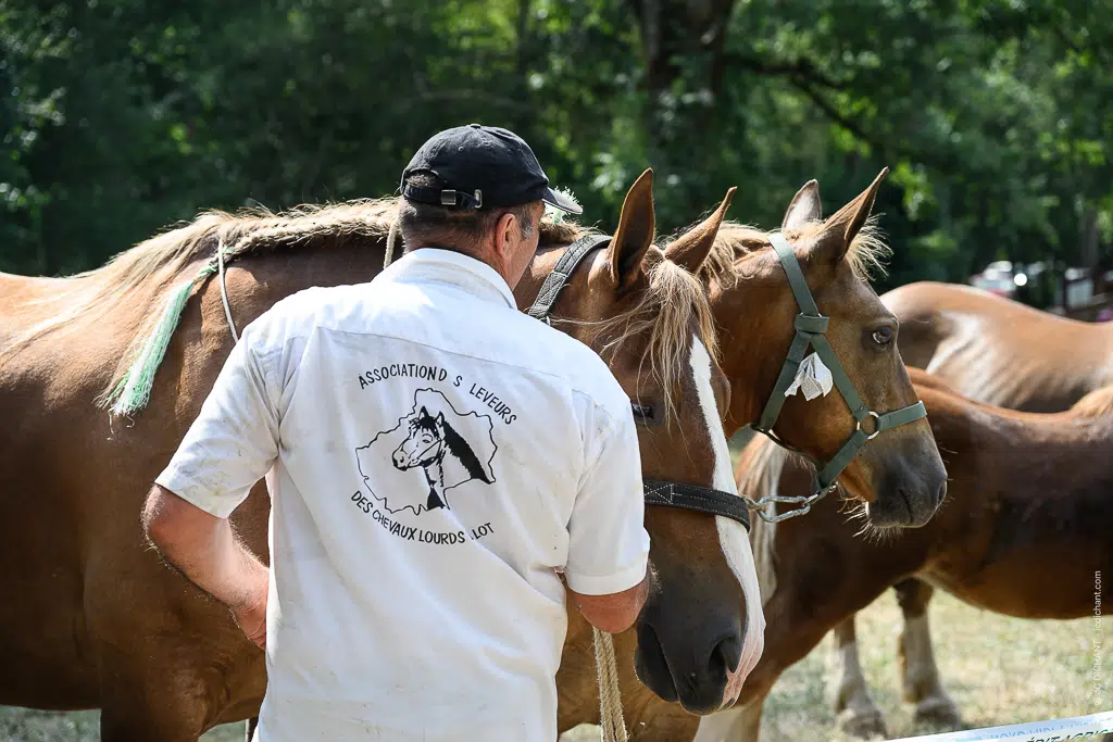Concours de chevaux de trait à Alvignac (Lot) : août 2026