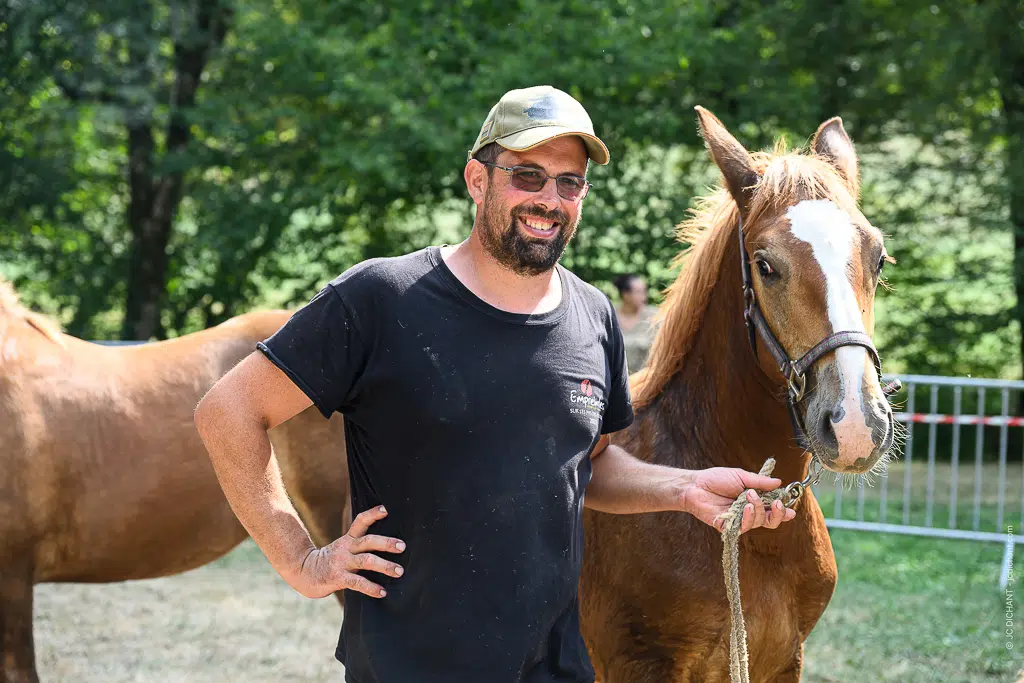 Concours de chevaux de trait à Alvignac (Lot) : août 2026