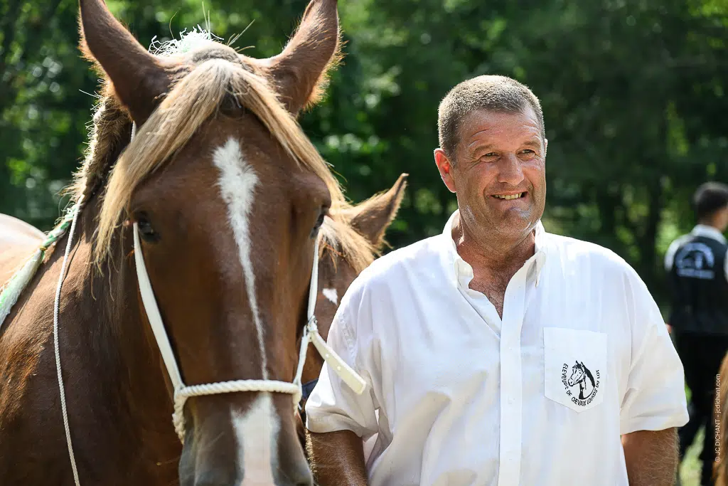 Concours de chevaux de trait à Alvignac (Lot) : août 2026