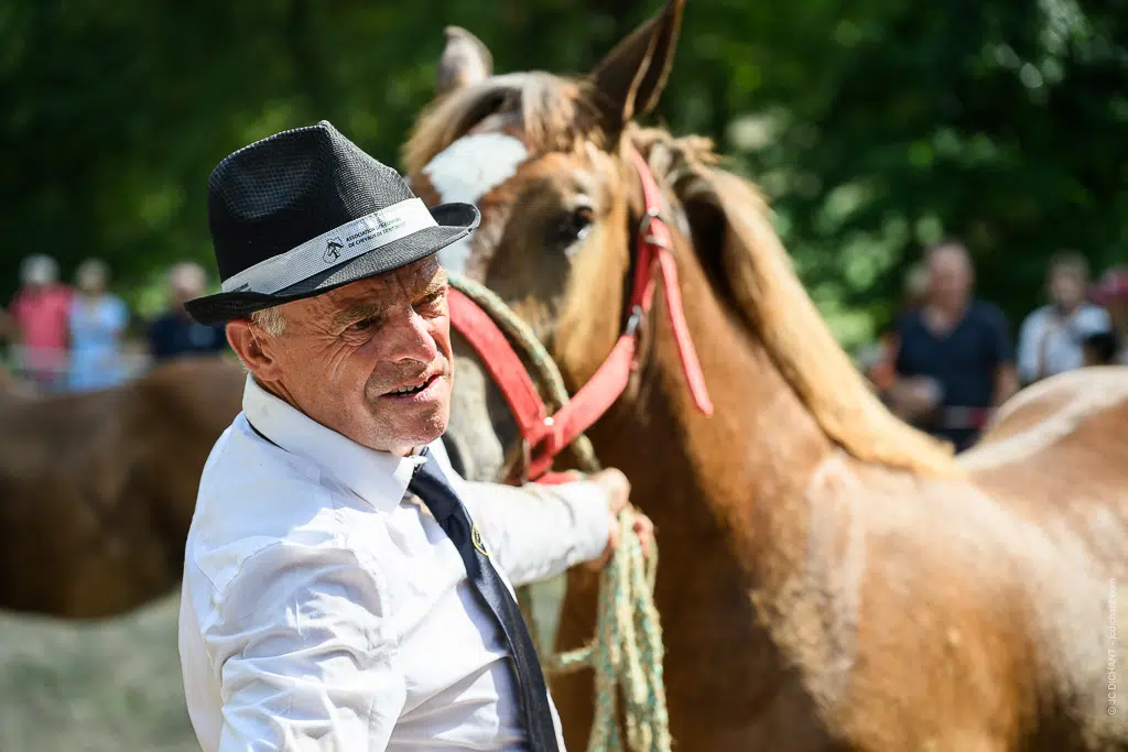 Concours de chevaux de trait à Alvignac (Lot) : août 2026