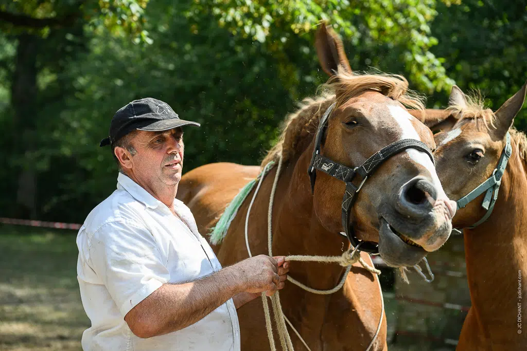 Concours de chevaux de trait à Alvignac (Lot) : août 2026